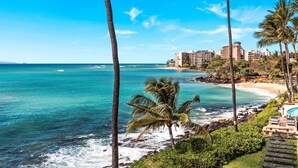 Un hôtel situé sur la côte, offrant une vue sur l’océan, les palmiers et la plage.