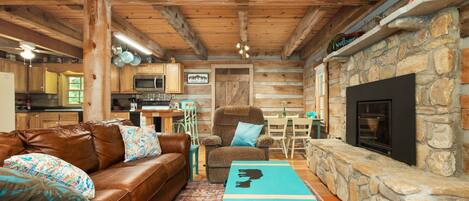 Televisión, chimenea, libros