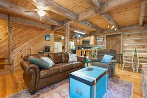 TV, fireplace, books