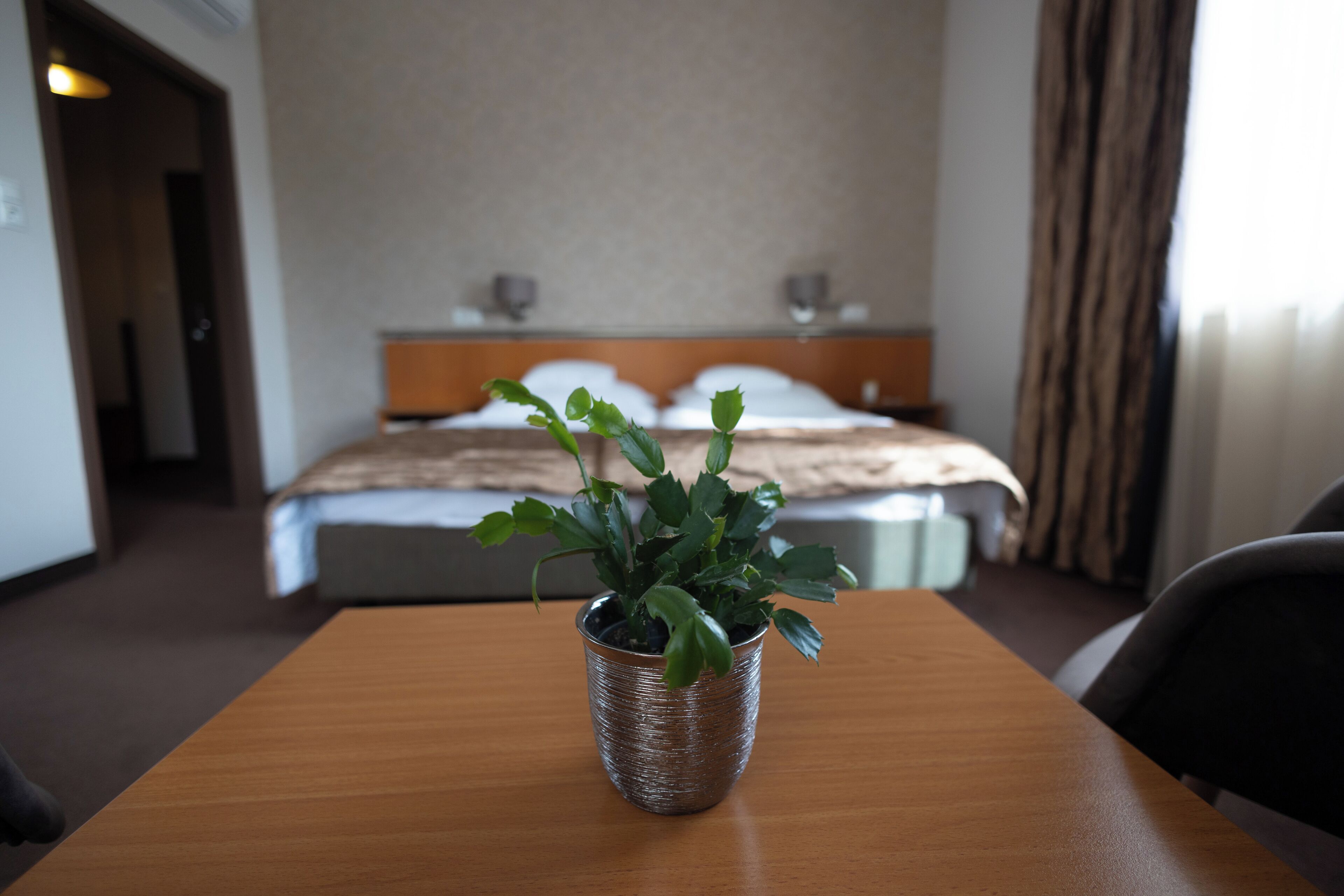 A hotel room with a wooden table, a potted plant, a bed with white linens, and a headboard.
