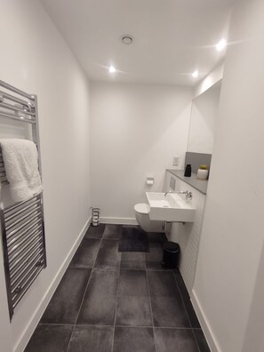 Departamento | Baño | Regadera, secadora de cabello, toallas 