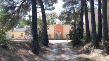 Pathway leads to a simple building with a distinct door, surrounded by tall trees in a natural setting.