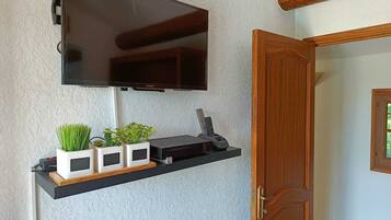 A flat-screen TV mounted on a textured wall, a wooden door, and a shelf with potted plants and a remote control.