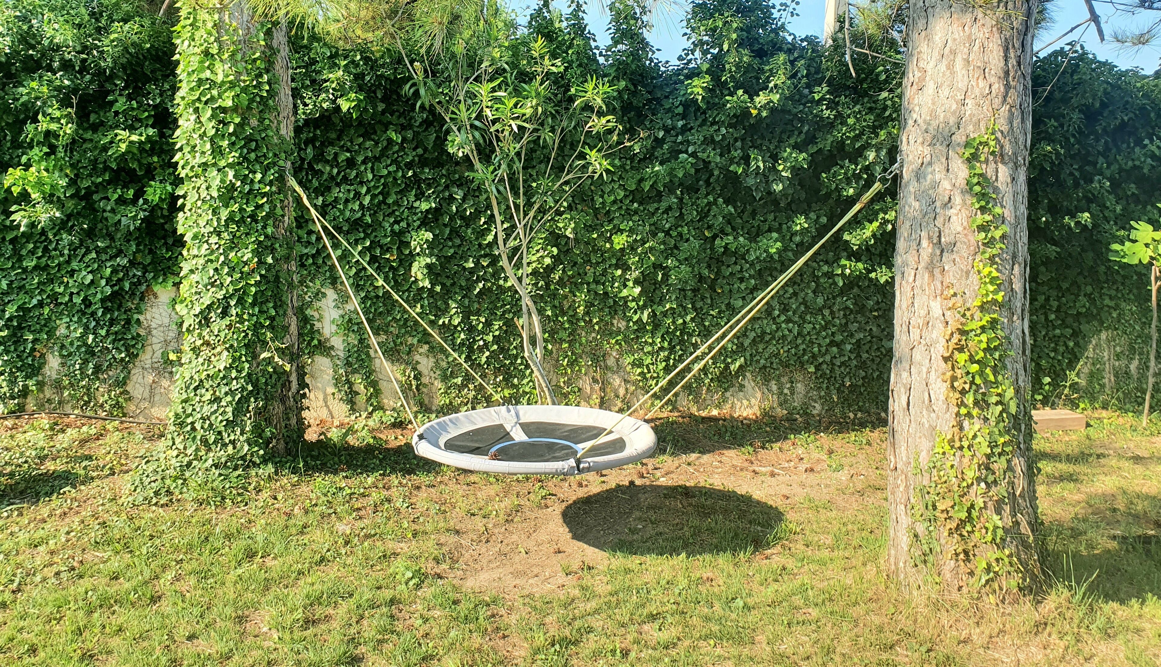 Un columpio circular con cuerdas, rodeado de árboles y césped.
