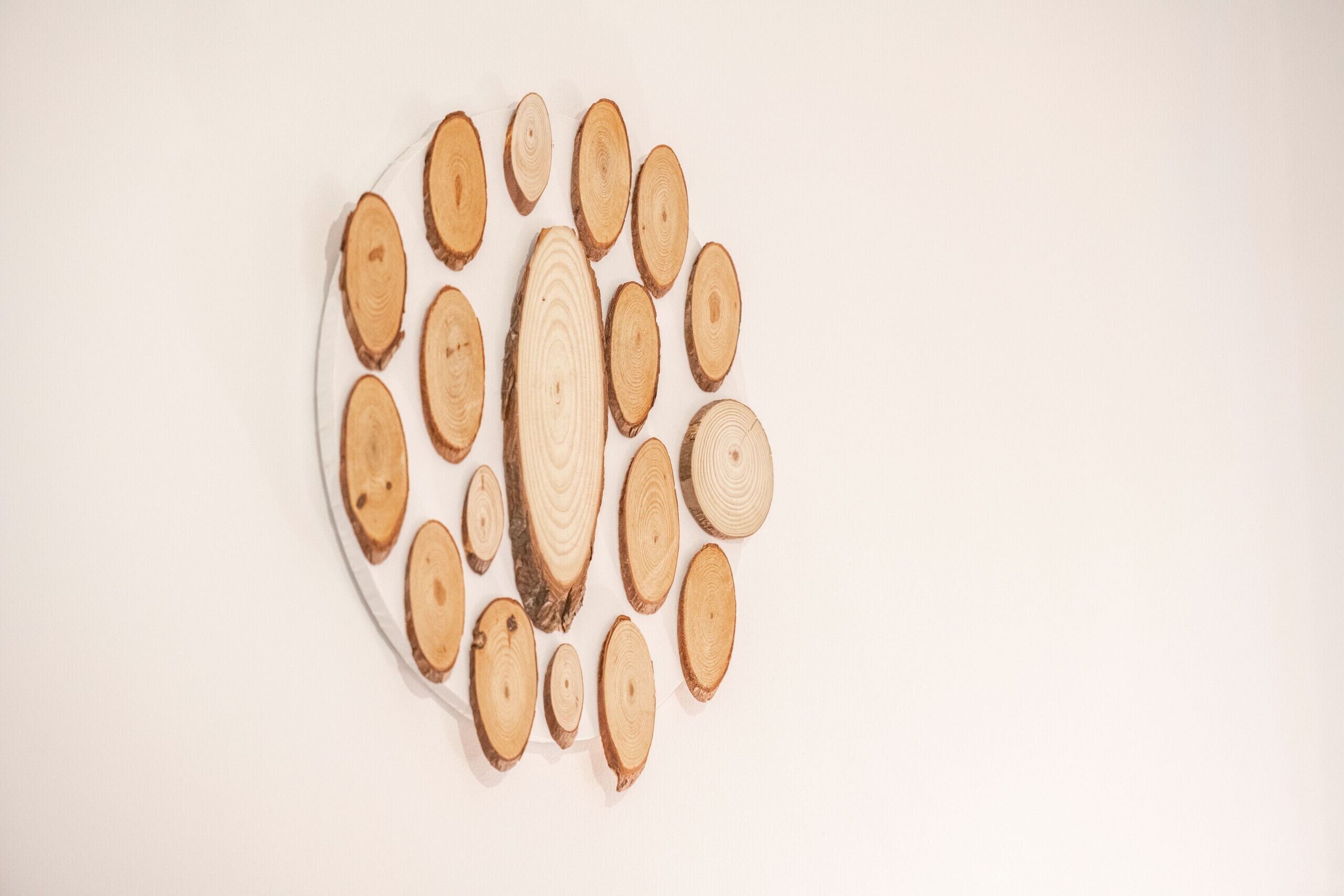 A circular arrangement of wooden slices on a white background.