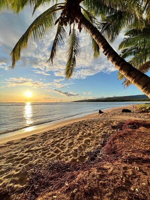 On the beach, sun loungers, beach towels - Hale Pakala, 3 Acre Beach Front, A/C in Bedrooms (Makaweli)