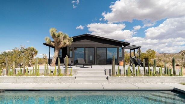A modern building with a pool, surrounded by cacti and desert vegetation. - Sacred Haven By Homestead Modern (Joshua Tree)