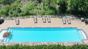 Une piscine rectangulaire dont le bord est recouvert de carreaux, entourée d’un petit muret en briques. Six chaises longues sont alignées le long du bord de la piscine, et une clôture métallique sépare l’espace piscine de la végétation environnante.