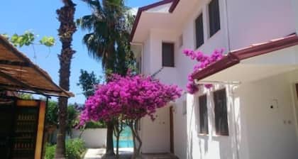 Turtle Beach Bungalows