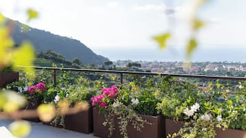 Rooftop terrace