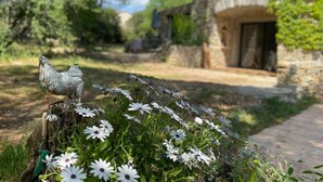 A rustic stone building with a doorway, surrounded by greenery and white flowers. - La Ferme '' (Nîmes)