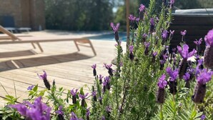 A wooden deck with a pool, surrounded by purple flowers and greenery. - La Ferme '' (Nîmes)