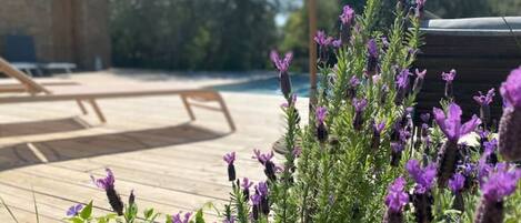 Une terrasse en bois avec une piscine, entourée de fleurs violettes et de verdure.
