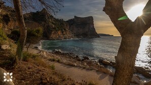Un paisaje costero con costa rocosa, un acantilado y un árbol en primer plano.