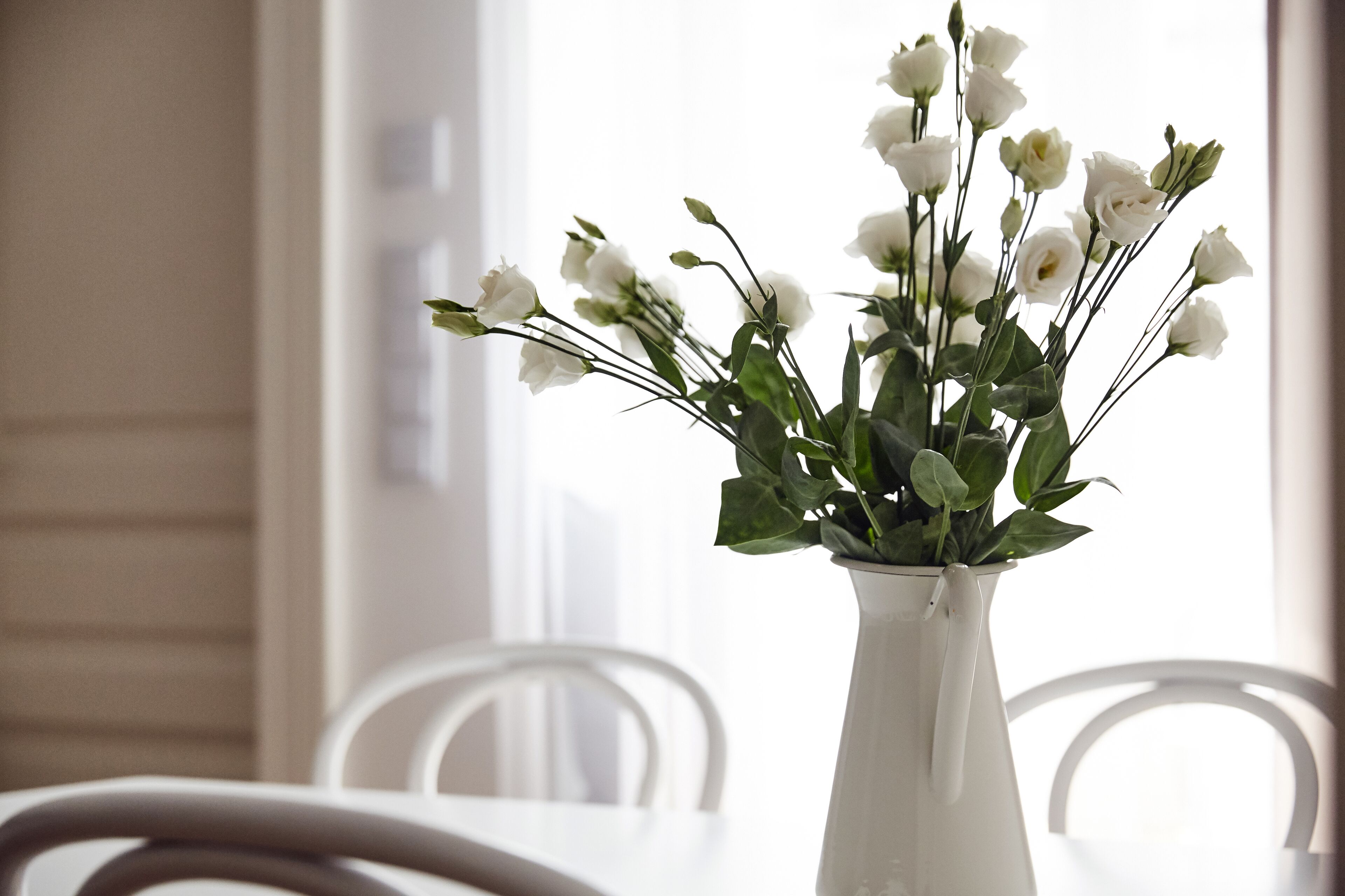 A white vase with white flowers on a table in a room with white chairs.
