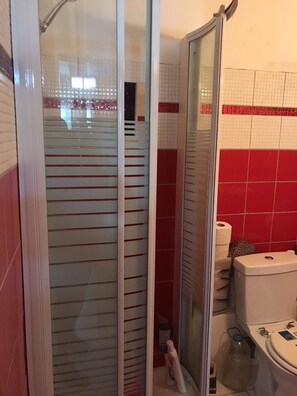 Sèche-cheveux, serviettes fournies, savon, papier toilette