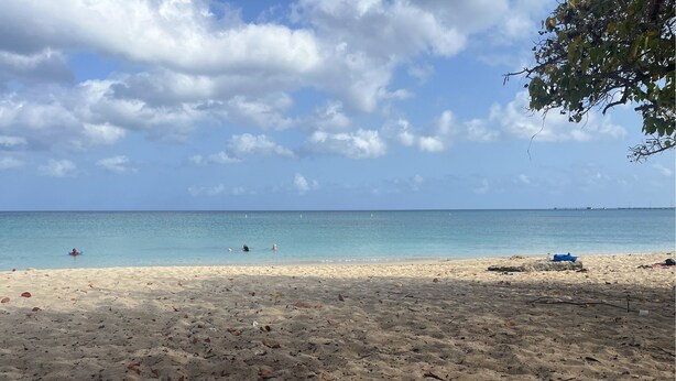 A beach with clear skies and calm waters. - Sunset Villas "Good Morning" Tiny Home Container (Frederiksted)