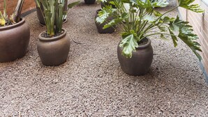 A courtyard with potted plants and a brick wall. - Hotel Terrassa Confort (Terrassa)