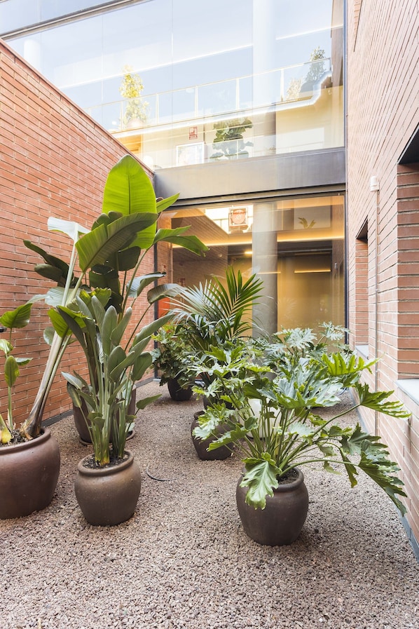 A courtyard with potted plants and a brick wall. - Hotel Terrassa Confort (Terrassa)