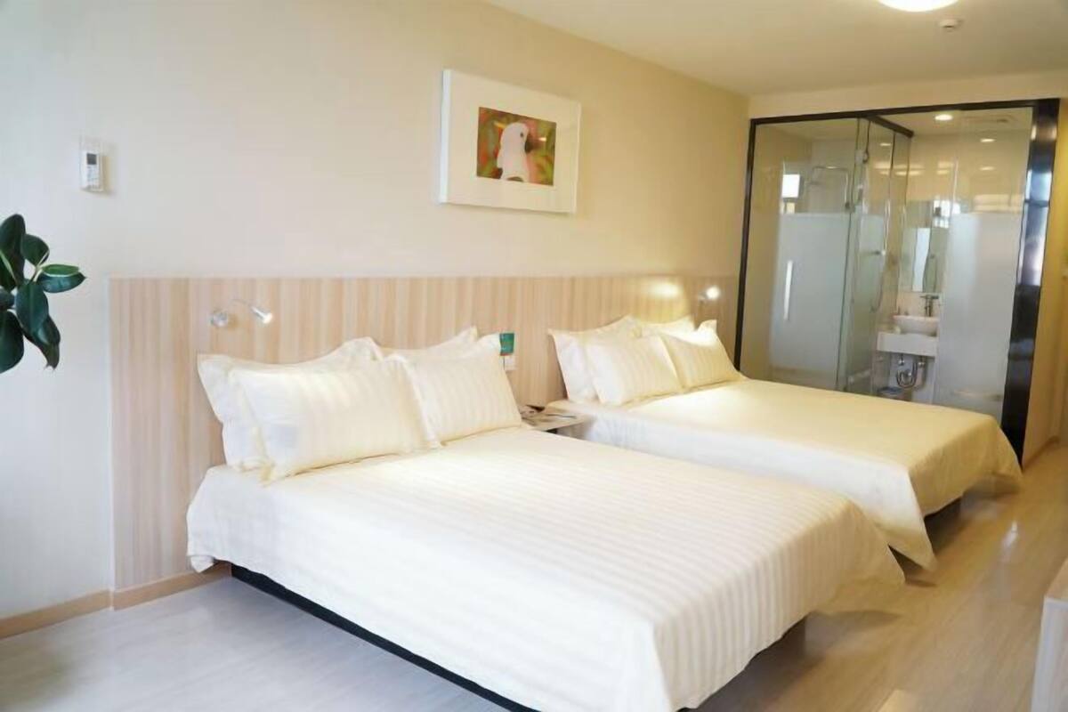 Une chambre d’hôtel avec deux lits, un grand miroir et une plante en pot.