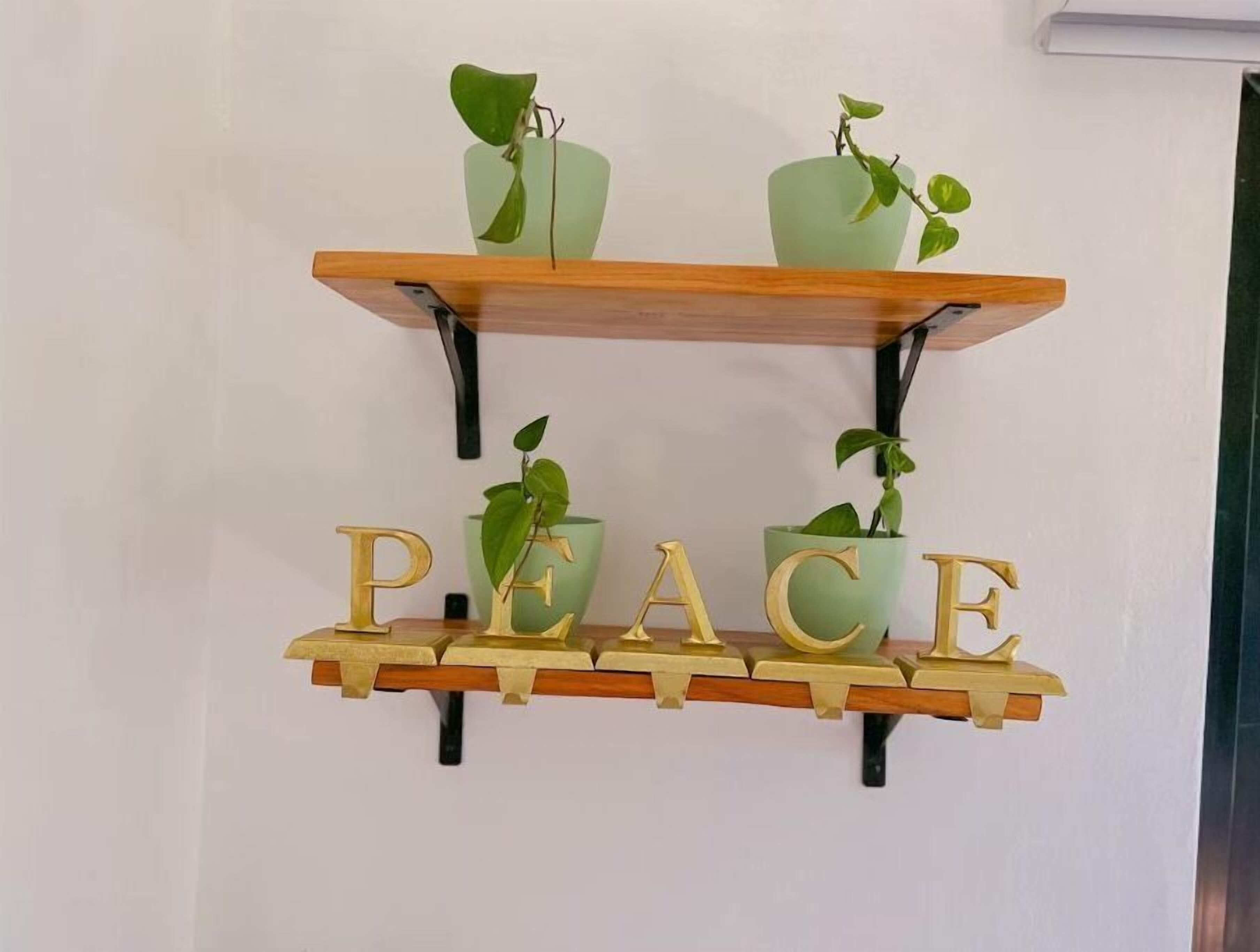 Een houten wandplank met twee groene plantenbakken en het woord 'PEACE' in gouden letters.