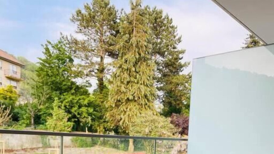 Lux Green Flat in Center-Parking&Terrace