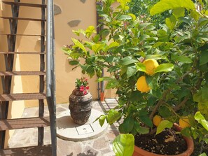 Exterior - B&B Il Mandorlo (Cortona)