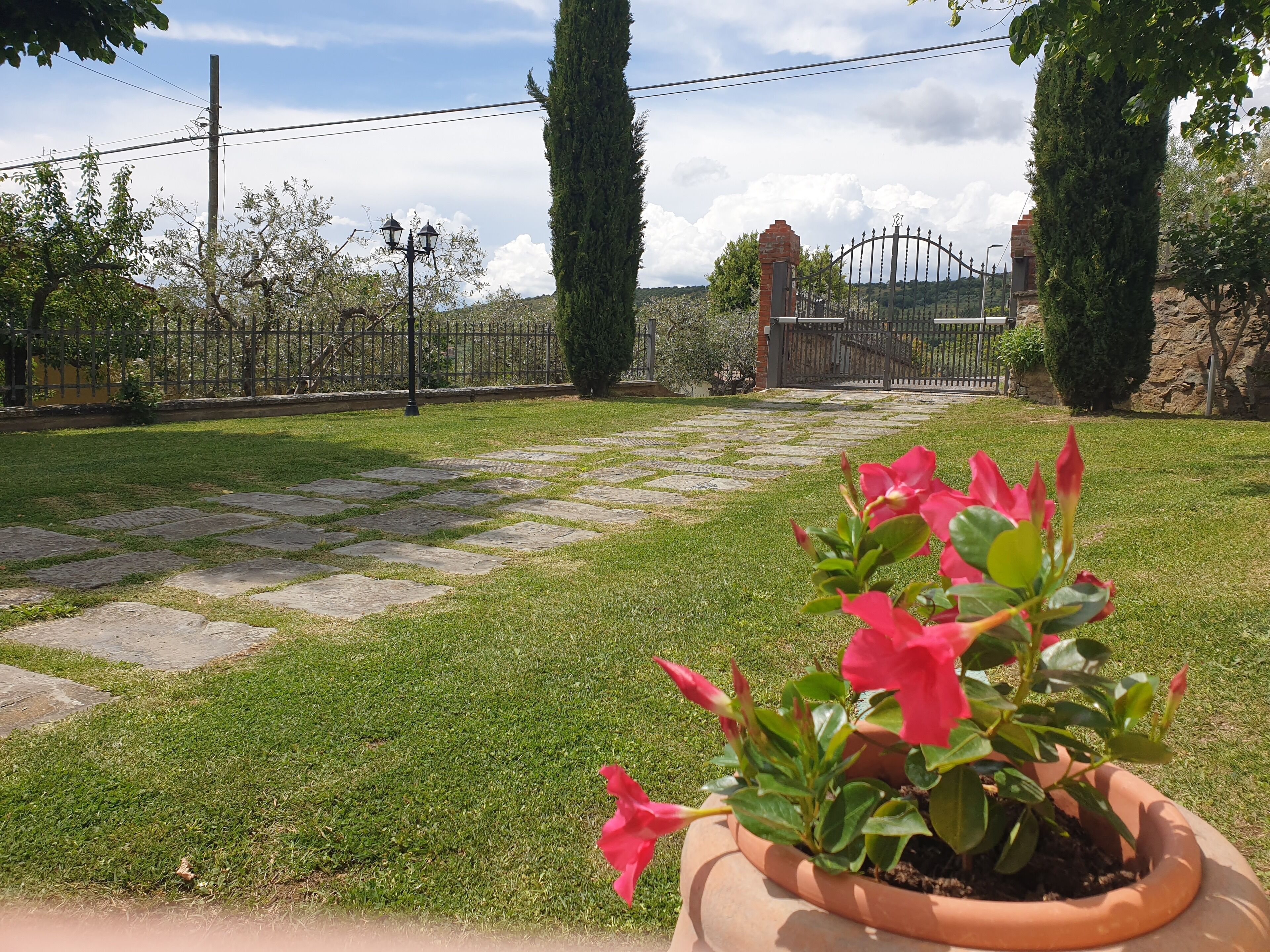 Un jardín con un camino empedrado, una planta en maceta con flores rojas y un acceso con portón.