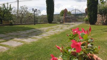 Un jardín con un camino empedrado, una planta en maceta con flores rojas y un acceso con portón.