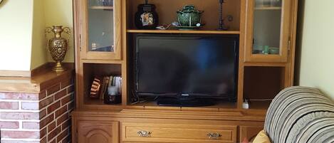 Smart TV, fireplace, books