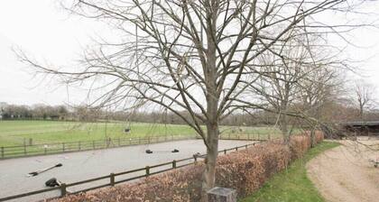 The countryside annexe and stabling if needed!