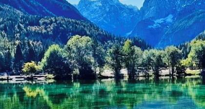 Panoramic Views All Year Round in All Seasons - Edge of Ski Resort Kranjska Gora