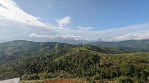 View from property - Captivating Mountain Cabin. (Jellippara ,)