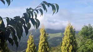 Vista de un paisaje montañoso con árboles y cielo despejado.