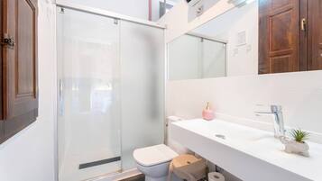 A modern bathroom with a glass shower enclosure, a white sink with a mirror above, and a toilet.