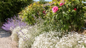 En trädgård med olika blommande växter, inklusive rosor och vita blommor, under en klar himmel.