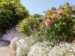 Cottage | Interior - Shippon Cottage (Hope Valley)
