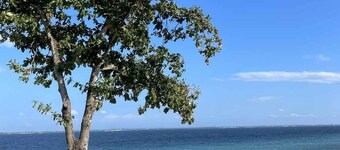 Mactan Beach front Suites