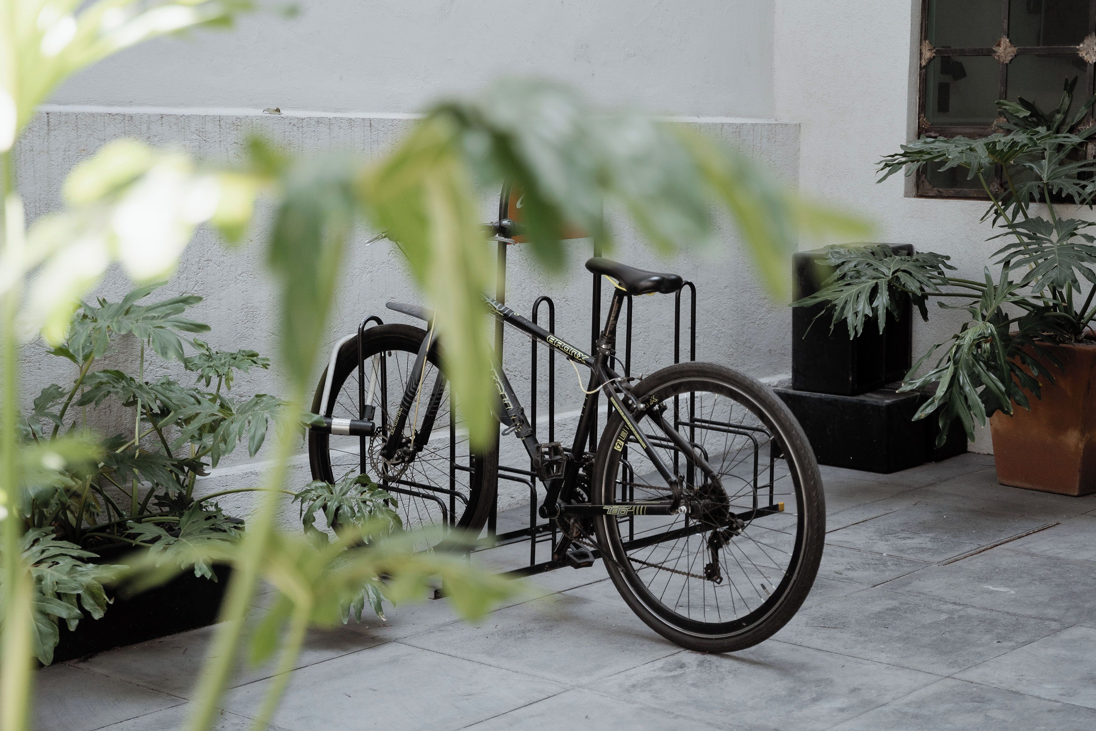 Foto - Casa Lomah WTC