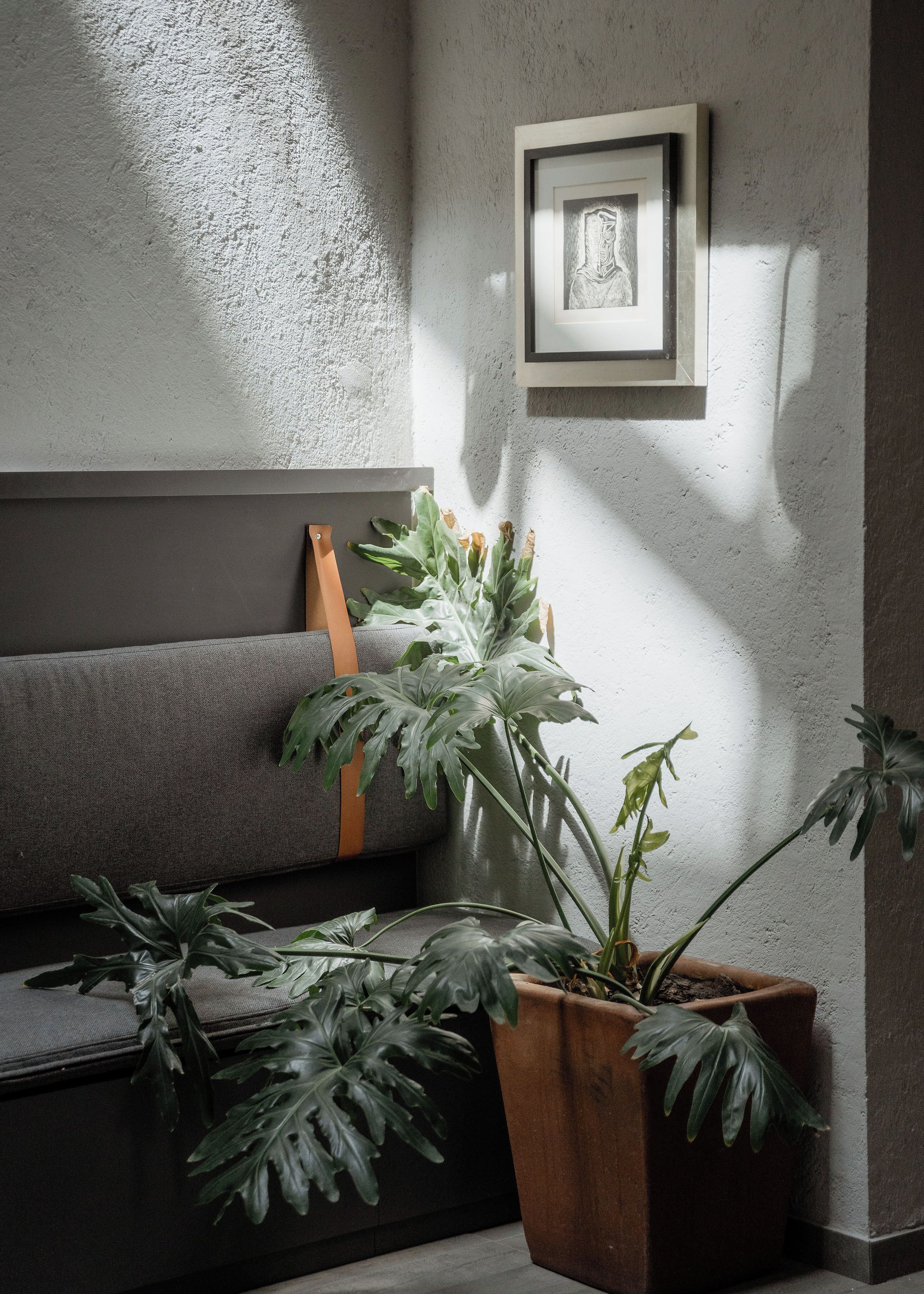 Foto - Casa Lomah WTC