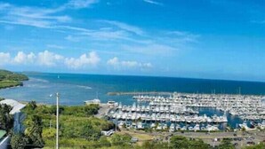 Un puerto deportivo con numerosos barcos amarrados, rodeado de vegetación y un cielo azul despejado.