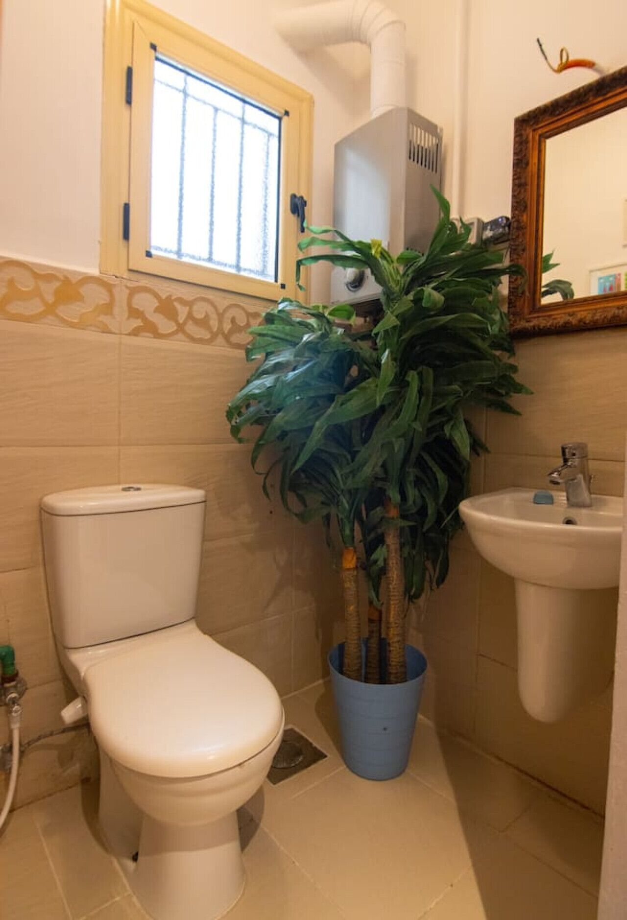 Baño con inodoro, lavamanos y planta en maceta.