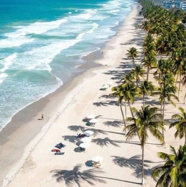 Plage à proximité, chaises longues, serviettes de plage