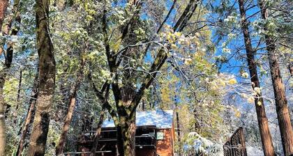 Happy Cabin - Twain Harte Lake Access- Remodeled