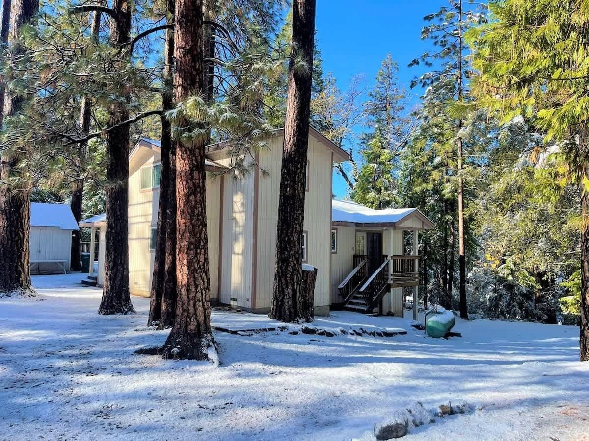 A cabin surrounded by tall trees in a snowy landscape.