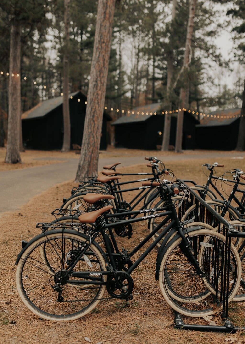 Varias bicicletas estacionadas al aire libre con un bosque de fondo y luces colgantes.