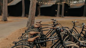 Varias bicicletas estacionadas al aire libre con un bosque de fondo y luces colgantes.