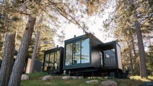 A modern, two-story cabin with large glass windows, surrounded by tall pine trees. - Nature Link Resort (Nisswa)