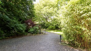 En grusgång i en park med tät vegetation på båda sidor.