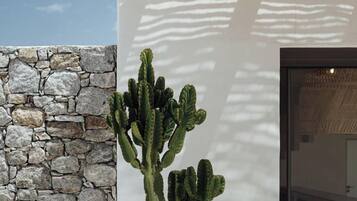 A cactus plant in a terracotta pot, a stone wall, and a wooden ceiling structure.